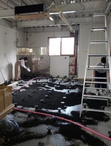 うみあかり。Sea Light Wellness Center（シーライト）。新静岡のカウンセリング・悩み相談・ホリスティックヒーリング